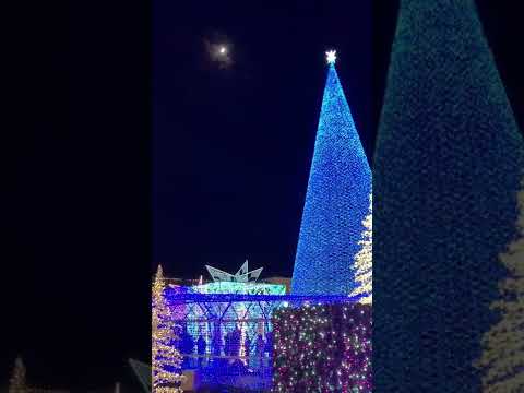 🎄 Christmas Tree and the Moon