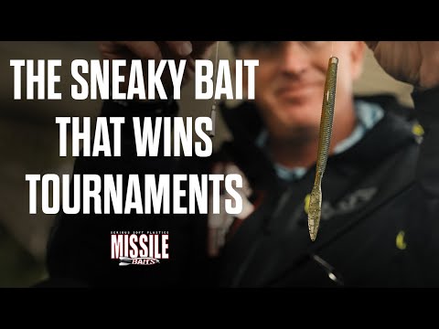 The Sneaky Bait That Wins Tournaments