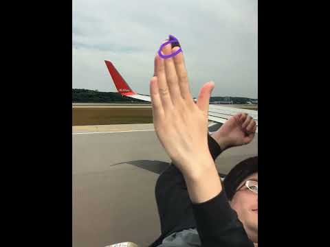 【異種格闘技戦】ダンディ森VS航空機