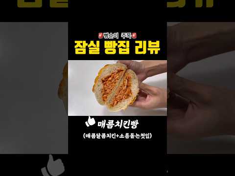 잠실3대빵집!! 거를타선없는 존맛빵 모음집🥖