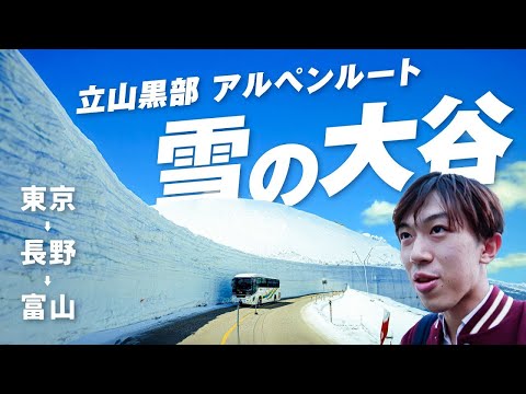 【富山の旅】立山黒部アルペンルートを日帰りで走破！チューリップと雪の大谷二刀流の旅