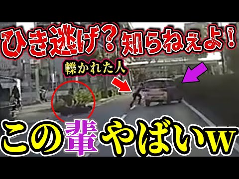 【ドラレコ】ひき逃げニキ、ヤバイｗ【交通安全推進、危機予知トレーニング】【スカッと】