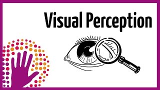 Visual Perception – How It Works