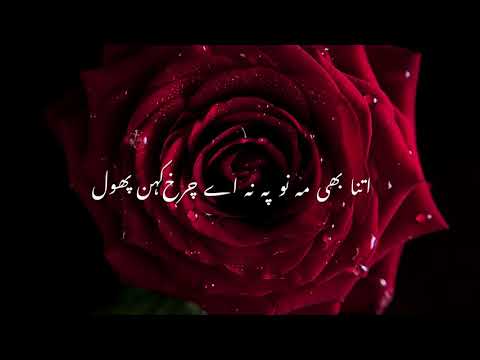 ایک ایسی نعت جس کے ہر شعر کا آخری لفظ پھول ہے۔