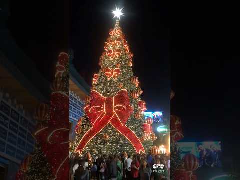 🎅Christmas Celebrations in Bangalore 💥 Phoenix mall Whitefield