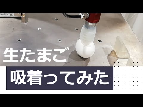 【吸着ってみた】生たまご【コンバム】