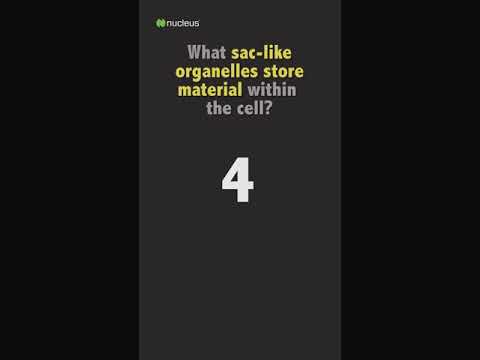 Biology Quiz: What sac-like organelle stores material within the cell?