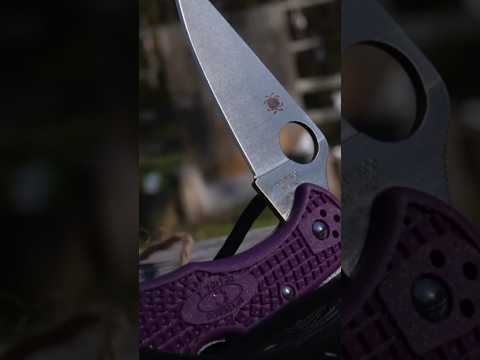 🔪💪Versatile Toughness: Spyderco Delica 4 - Unique Utility Cutter! #shorts