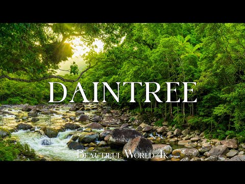 Daintree National Park 4K - Discover Ancient Rainforests, Lush Canopies, and Rivers • 4K VIDEO HD