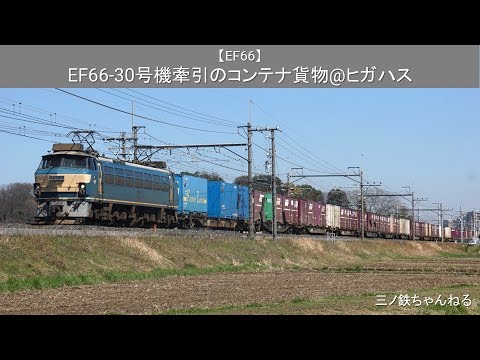 【EF66】 EF66-30号機牽引のコンテナ貨物@ヒガハス（2016年）