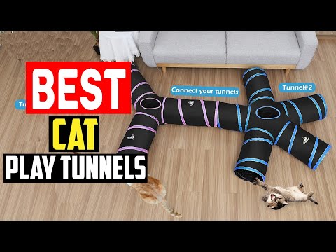 ✅Top 5 Best Cat Play Tunnels for Endless Entertainment in 2025