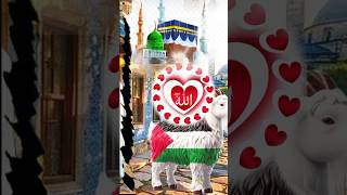 Bakra Eid Mubarak | Islamic shorts video #eidspecial #india #islamicvideo #trending #shorts