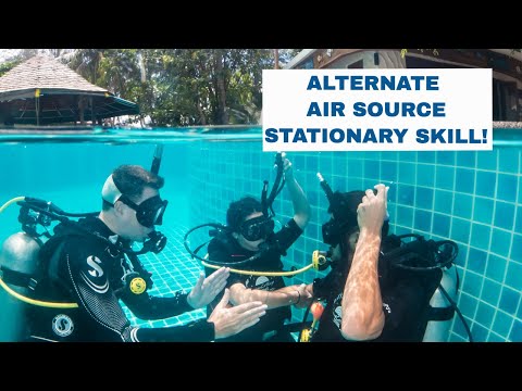 Alternate Air Source Breathing Stationary • PADI Open Water Diver Course - Scuba Diving Tips