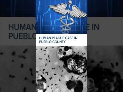 Colorado health officials investigating human case of bubonic plague