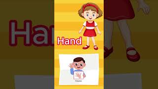 Easy Learn Body Parts | For Kids #shorts