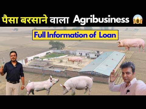 ये Pig Farming नहीं 🐷ये है Paisa कमाने की Machine🤑 ll Pig Farming