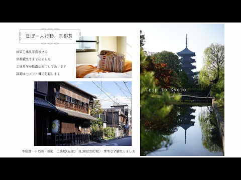 【Vlog】ほぼ一人行動京都旅/伏見/寺田屋/十石舟/三栖閘門/祇園/二条城(NAKEDFlower2022)/東寺