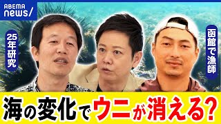 【ウニ】海の変化でピンチ？海水温が上昇？養殖じゃダメ？雲丹を知るとヒトが分かる？漁師&研究者と考える｜アベプラ