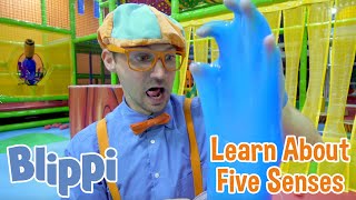 BLIPPI | Blippi Teaches About Five Senses | Learn with Blippi | Educational Videos for Kids