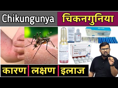 चिकनगुनिया - Chikungunya | Medicine | Treatment | Pharmacy | Doctor | Mbbs | Bhms | Bams | Bums