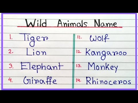 Animal names easy learning | Wild animal names in English easy | How to write wild animal names