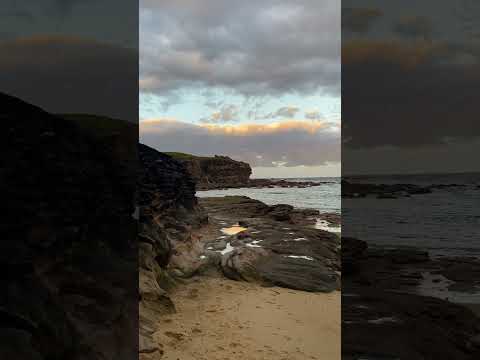 Little Bay Sydney Australia 🇦🇺 #sydney #australia #little #littleone #littlebay #nature