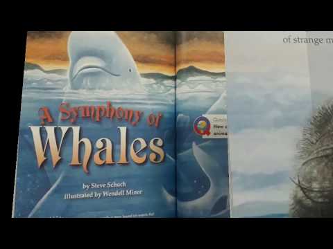 SYmphony of Whales - Grade 3 - Reading Street -The Stepping Stone Kids