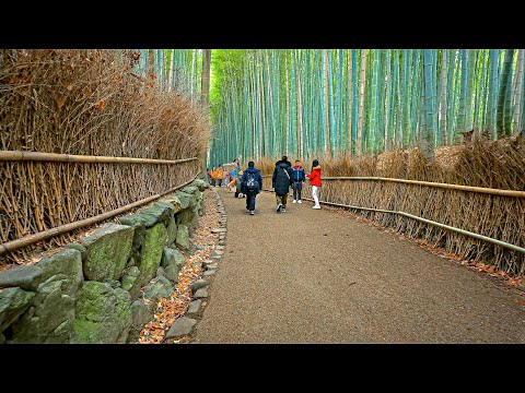 Kyoto Japan - Arashiyama Bamboo Forest Walking Tour • 4K HDR (re-upload)