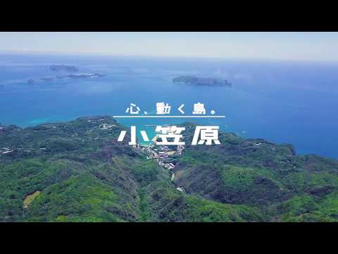 心、動く島。小笠原～母島編～　30sec