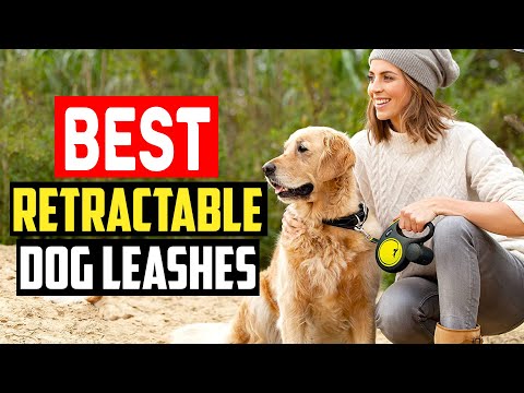 ✅ Top 5 Best Rated Retractable Dog Leashes Reviews of 2023