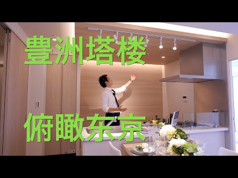 丰洲塔楼 俯瞰东京 日本看房｜日本买房｜日本投资｜看房视频｜日本移民｜日本签证