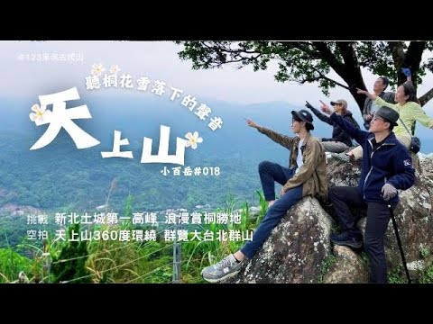 【天上山】小百岳018｜土城桐花步道/賞桐花/賞螢聖地｜出捷運半小時盡覽大台北群山