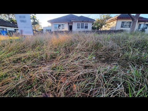 The Neighbours Said BEWARE Of Mowing This Abandoned Property That Was TRASHED By Local GANG Members