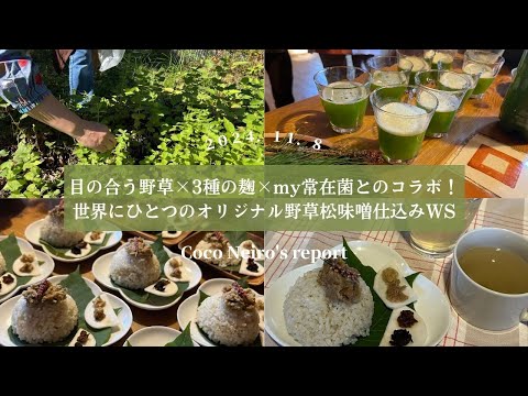 世界にひとつのオリジナル野草松味噌仕込みWS🌿ワークショップレポート〜2024.11.8〜