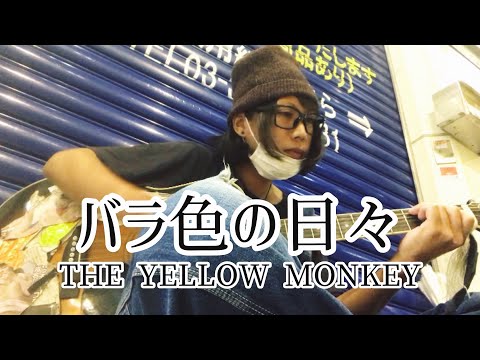 バラ色の日々 / THE YELLOW MONKEY 【cover by 和泉隆宏】