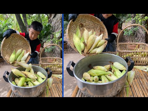 Chef Seyhak harvest corn and cooking with country style - Chef Seyhak