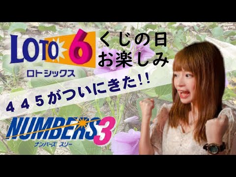 【LOTO6とナンバーズ3】ついにきたLOTO445