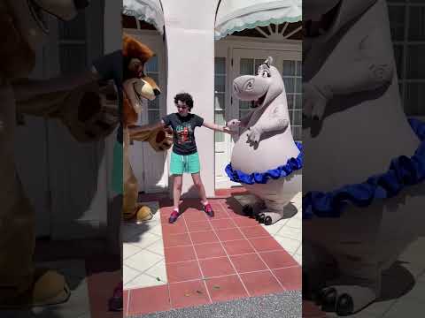 Meeting Alex the Lion & Gloria the Hippo at Universal Orlando