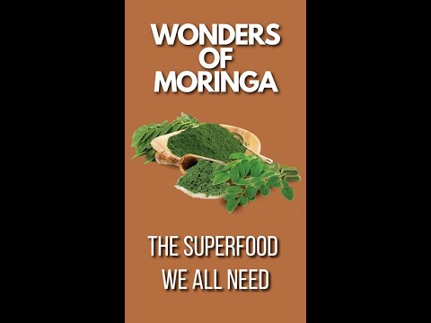 Unlocking the Power of Moringa: How This One Powder Can Improve Your Health