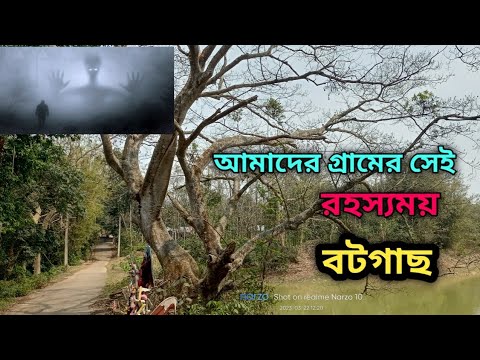 আমাদের গ্রামের ভূতিয়া বটগাছ 🧐