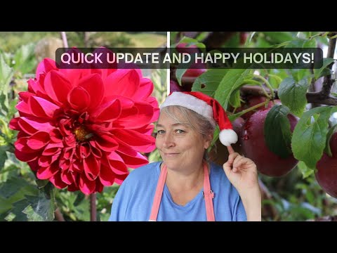 Happy Holidays and a Quick Update