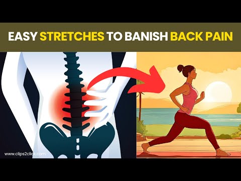 7 Best Lower Back Pain Exercises to Relieve Pain and Improve Mobility