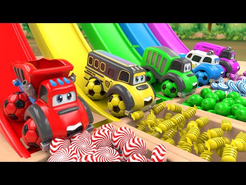 Bingo + Wheels on the Bus song - Color Slide & Pool Play - Baby Nursery Rhymes and Kids Songs