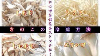 【冷凍保存】きのこの冷凍方法