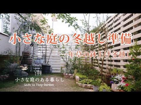 ガーデニング ｜小さな庭の冬越し準備｜一年草の冬越し｜ 〜小さな庭のある暮らし#100〜Gardening ｜ Life in a tiny garden