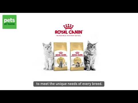 Royal Canin Cat