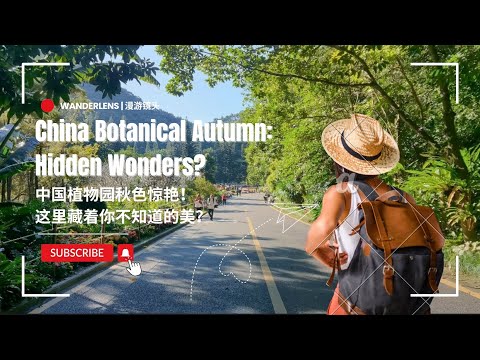 🌿 🍂 秋天的中国植物园，真的美过想象吗？ 🍁China's Botanical Autumn: Hidden Wonders?