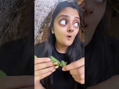 Sreemukhi🤣🤣🤣