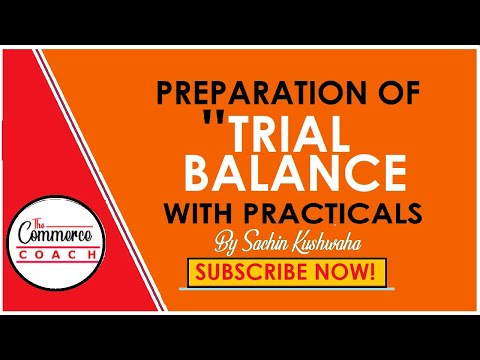 Preparation of Trial Balance (HINDI) | CA CS CMA Foundation | 11th Class