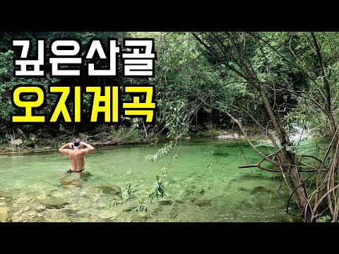 (수심 2.5M) 인적이 끊긴 오지산골 속 ‘1인 수영장‘에서 나홀로 스노클링하기